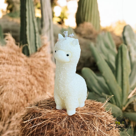 Vela Alpaca