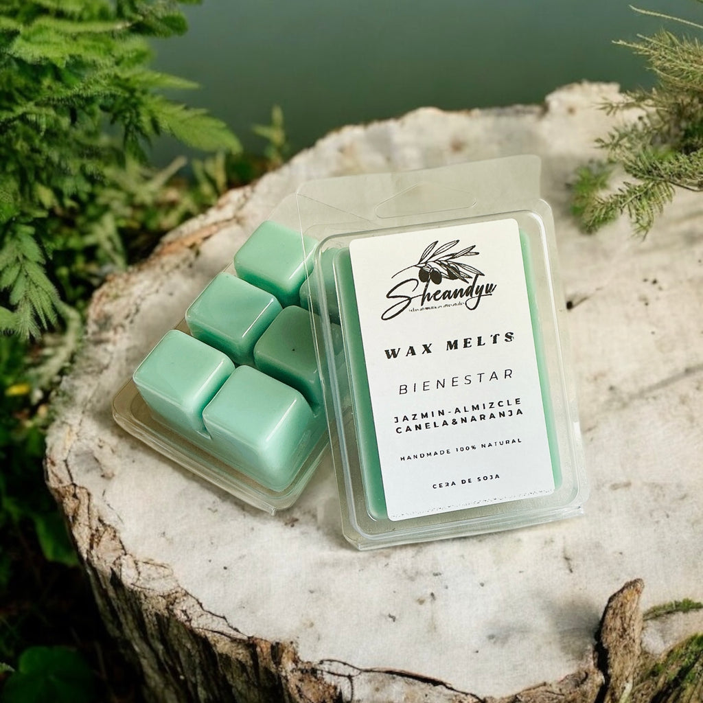 Wax Melts BIENESTAR
