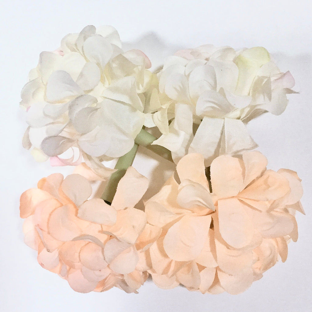 Hortensia Blanca Y Salmón